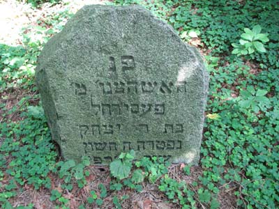 Cтарое еврейское кладбище в Бешенковичах