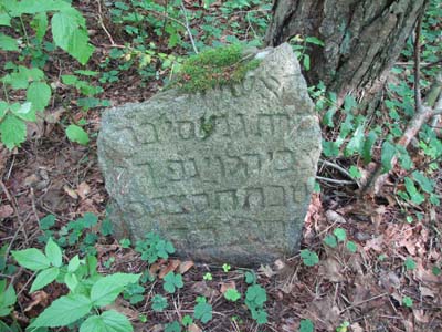 Cтарое еврейское кладбище в Бешенковичах