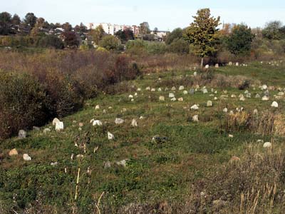 Городок. Старое еврейское кладбище.