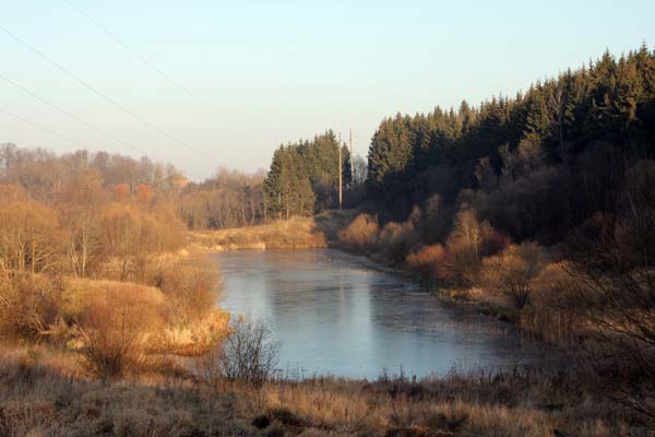 Лиозно. Адаменки.