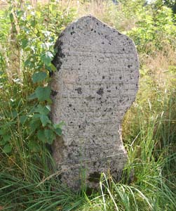 Старинное еврейское кладбище в Любавичах.