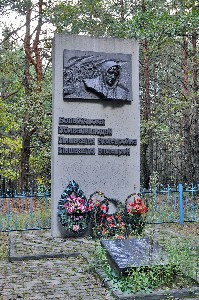 Давыдовка Памятник расстрелянным евреям