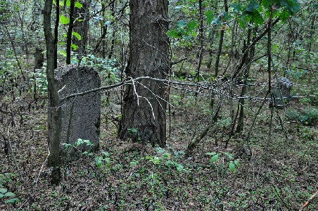 Еврейское кладбище в Журавичах