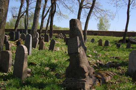 На старинном еврейском кладбище в Нарочи.