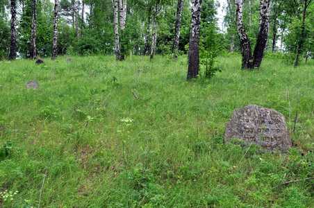 Jewish cemetery, Seliba.