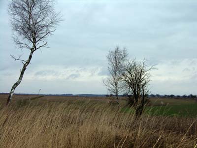 Here stood the village of Antonovka.