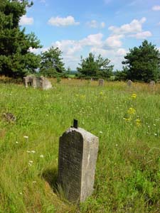 At the Jewish cemetery in Byhov.