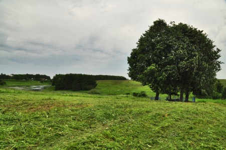 Execution site of Jewish residents of Gory.