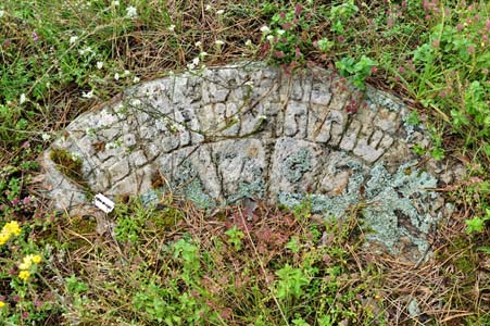 Hotimsk Jewish cemetery.