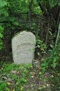 Еврейское кладбище Краснополья.