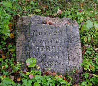 Jewish cemetery in Krugloe.