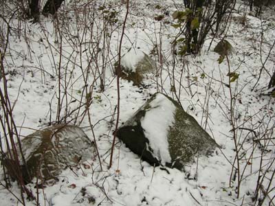 Еврейское кладбище в Молятичах.