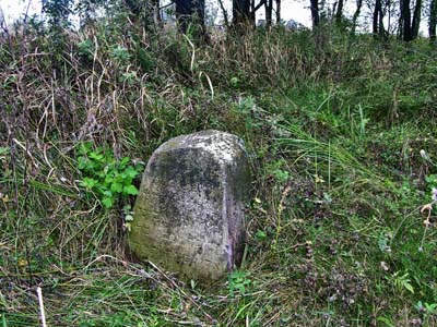 Еврейское кладбище местечка Милославичи.