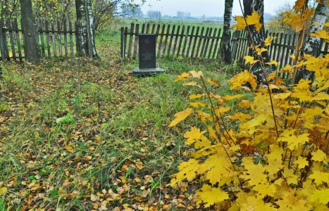 Execution site of about 20 Jews in Rudkovshina.