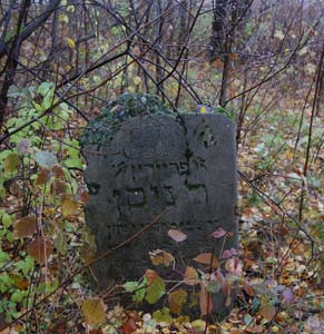 На еврейском кладбище Славгорода.