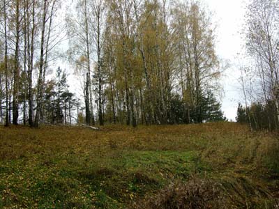 Jewish cemetery in Zaverezhie.